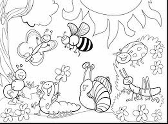 Anime Animals Coloring Pages