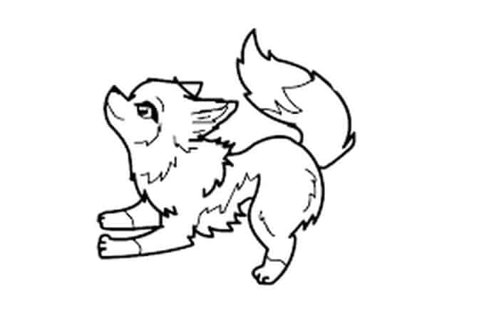 Anime Wolf Coloring Pages