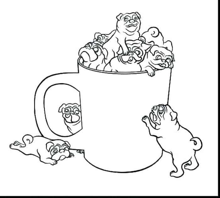 Chihuahua Puppy Coloring Pages
