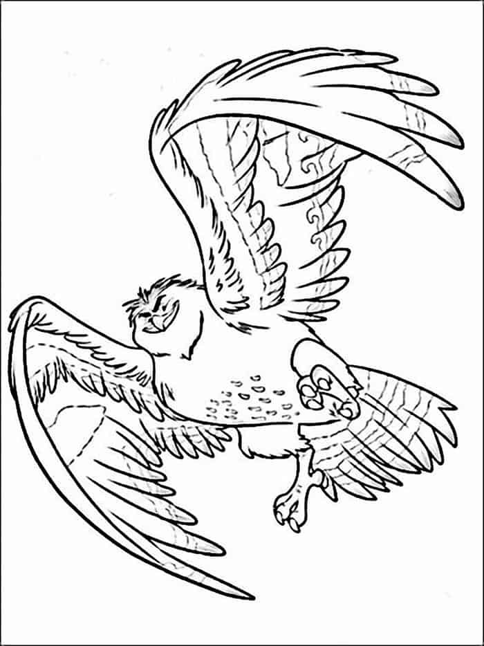 Eagle From Moana The Movie