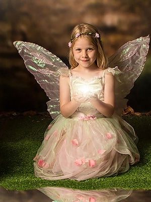 Fairy