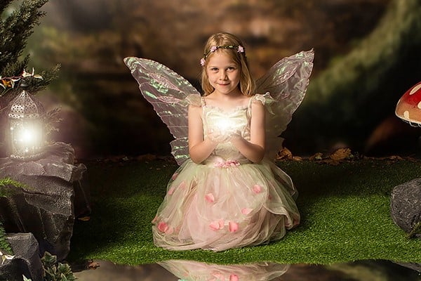 Fairy