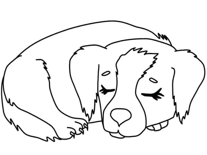 Free Coloring Pages Puppy