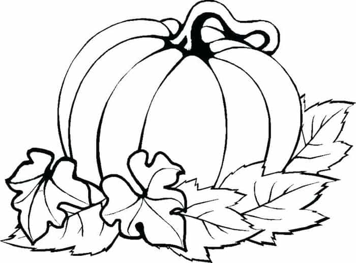 Free Printable Pumpkin Coloring Pages For Kids