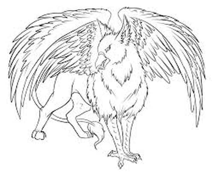Harry Potter Coloring Pages Quidditch