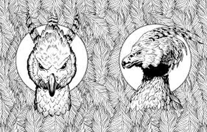 Harry Potter Free Coloring Pages