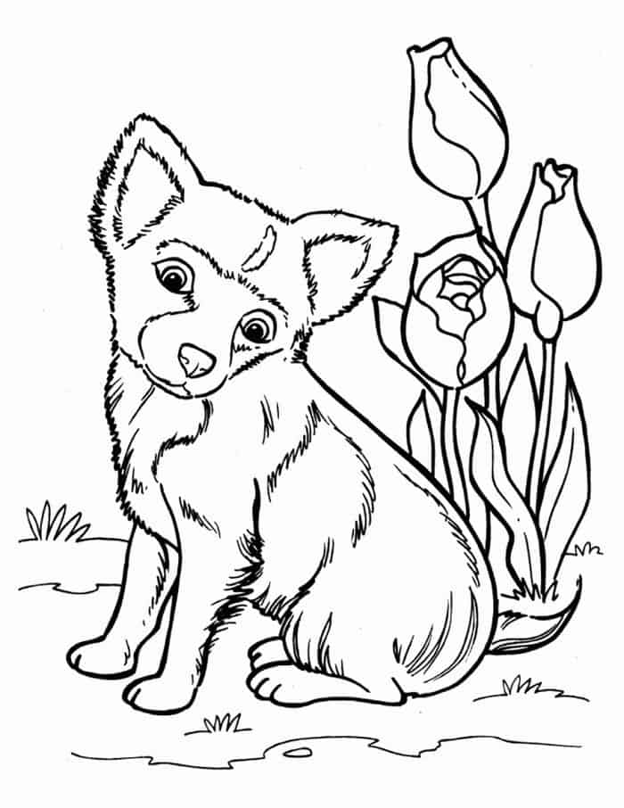 Kawaii Puppy Coloring Pages