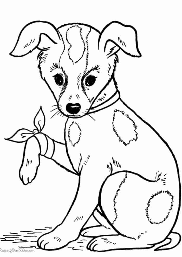 Kitten And Puppy Coloring Pages