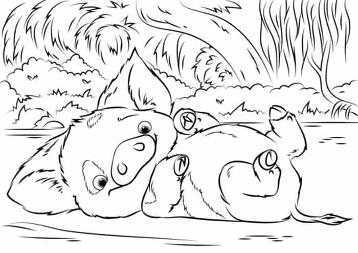 Moana Pua Coloring Pages
