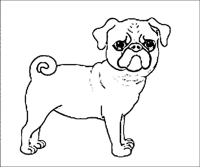 Pitbull Puppy Coloring Pages