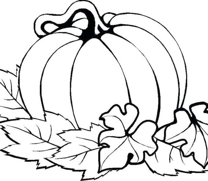 Pumpkin Coloring Pages For Adults
