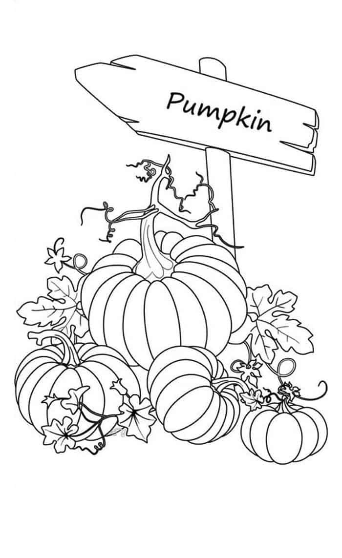 Pumpkin Halloween Coloring Pages