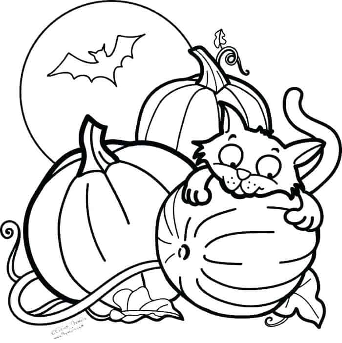 Pumpkin Life Cycle Coloring Pages