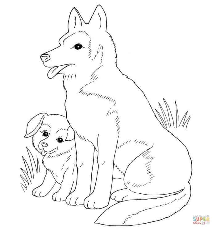 Realistic Puppy Coloring Pages