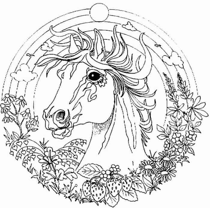 Unicorn Fairy Coloring Pages