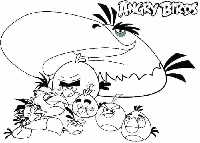 Angry Bird Coloring Book Pages