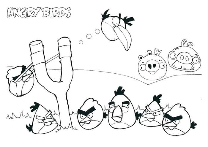 Angry Bird Coloring Pages Free