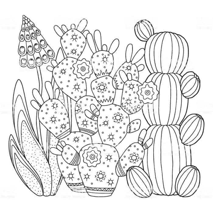 Art Therapy Cactus Coloring Pages