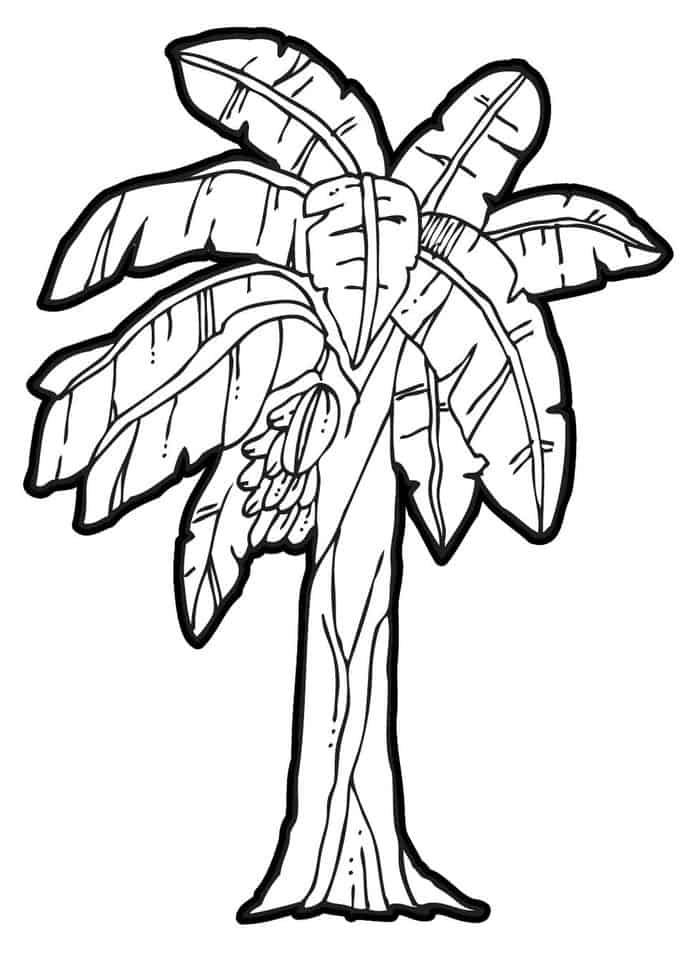 Banana Tree Coloring Pages