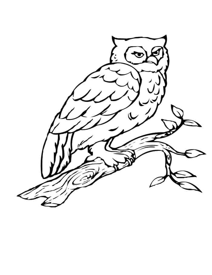 Bird Coloring Pages To Print