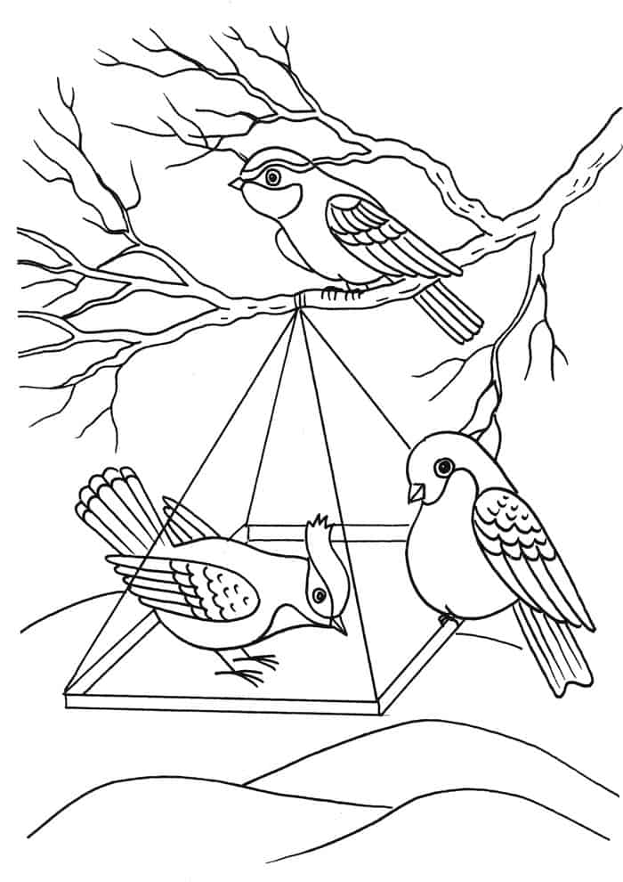 Bird Coloring Pages