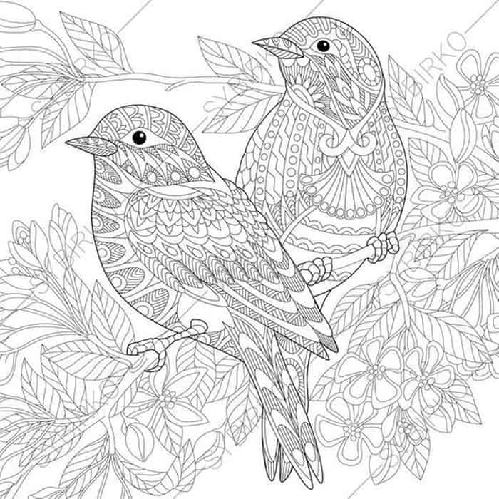 Bird Mandala Coloring Pages