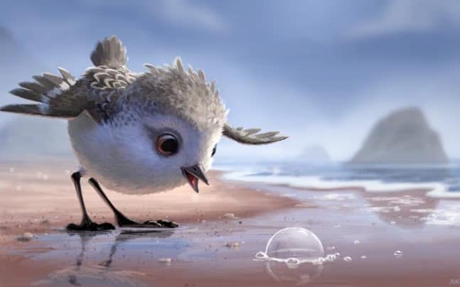 Bird