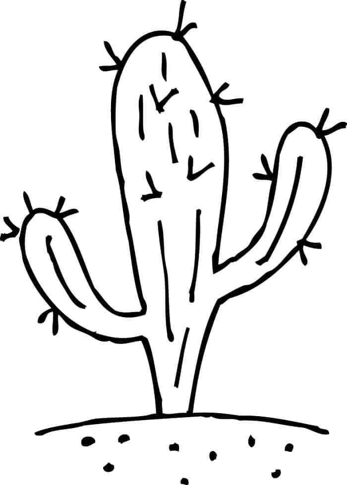 Cactus Coloring Pages For Kids