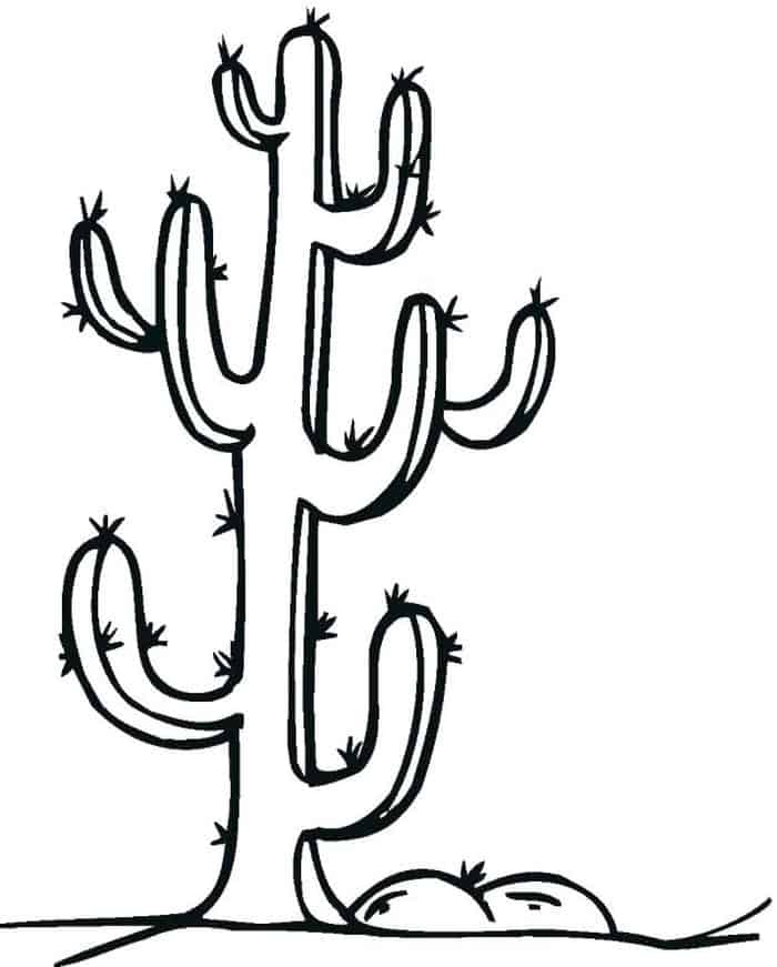 Cactus Coloring Pages