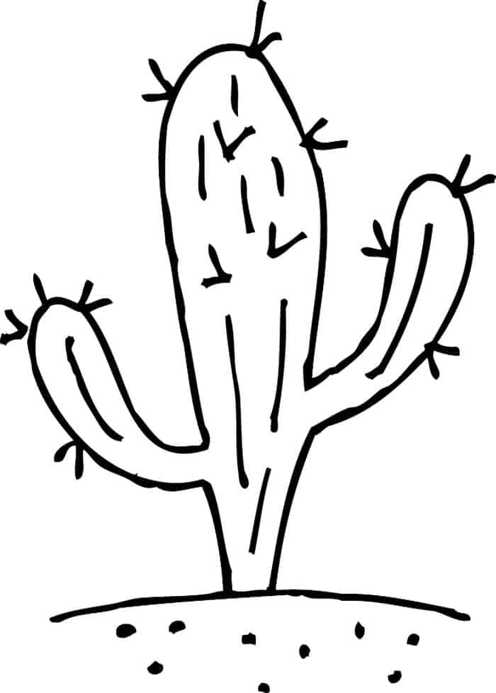 Cactus Llama Coloring Pages