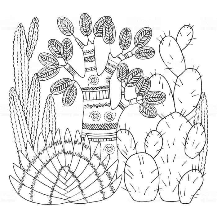 Cactus Mandala Coloring Pages