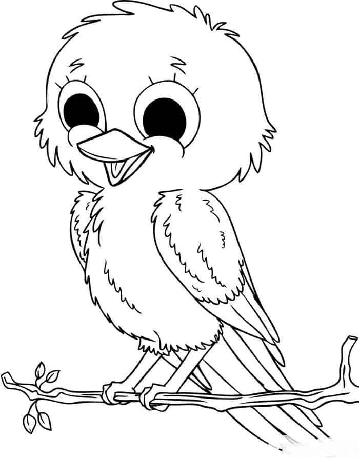 Cartoon Bird Coloring Pages
