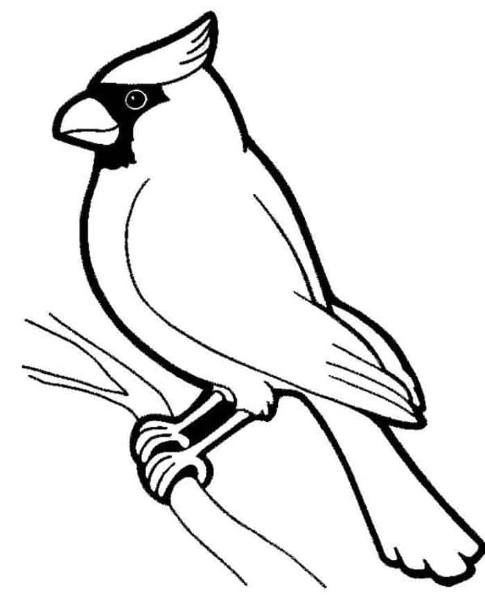 Coloring Pages Bird