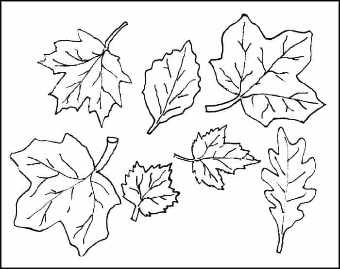 Coloring Pages For Kids Fall