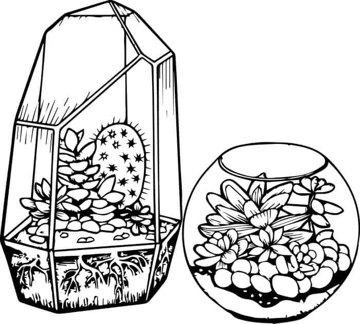 Cute Coloring Pages For Adults Cute Cactus Printable