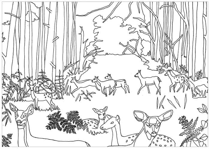 Fall Festival Coloring Pages
