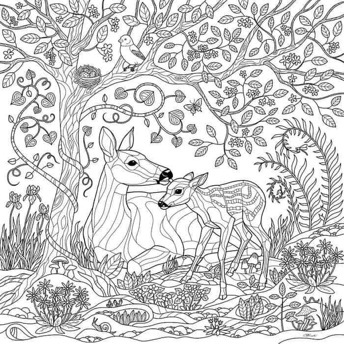 Fall Tree Coloring Pages