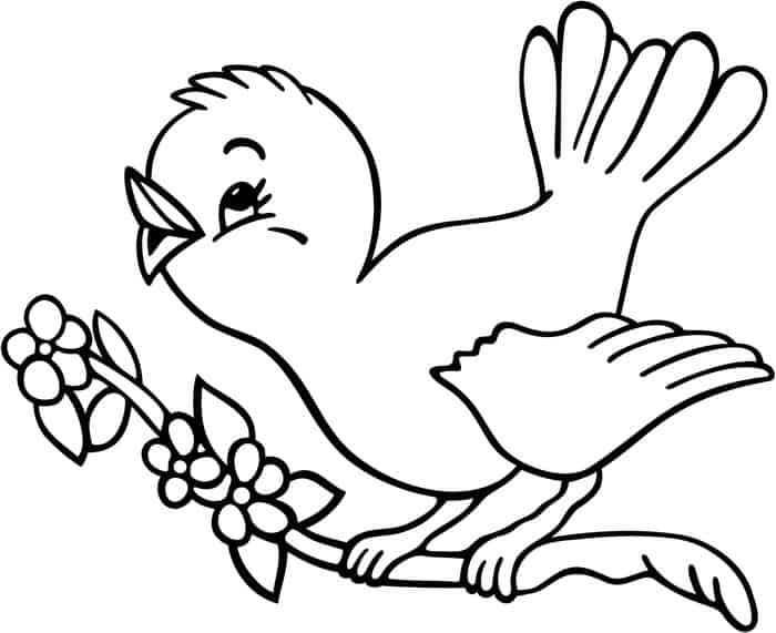 Printable Bird Coloring Pages