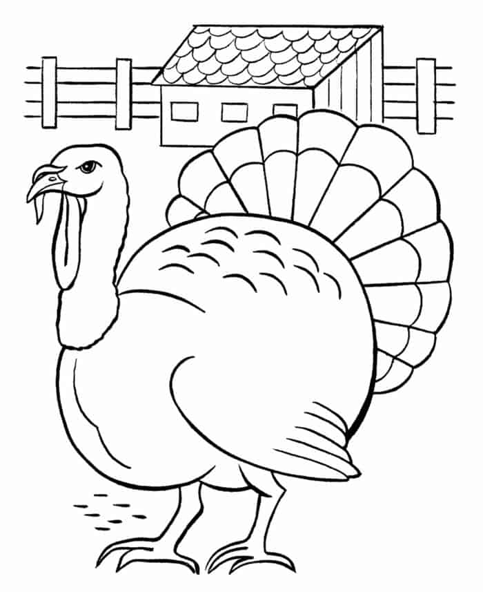 Thanksgiving Adult Coloring Pages