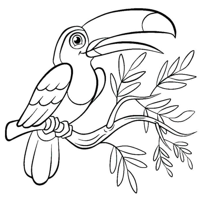 Tropical Bird Coloring Pages