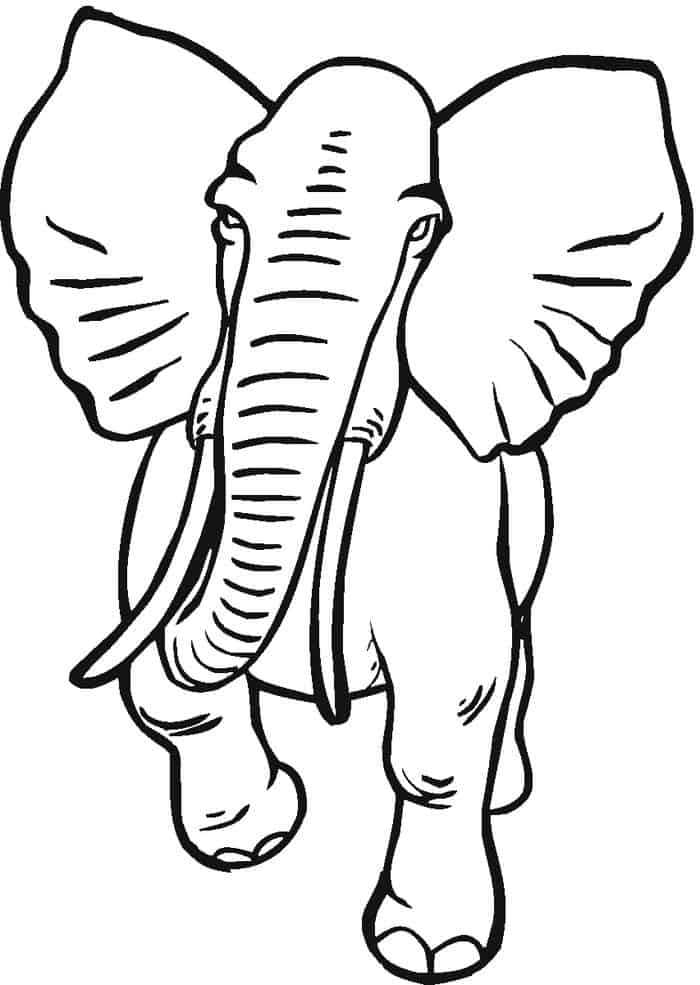 Adult Coloring Pages Elephant