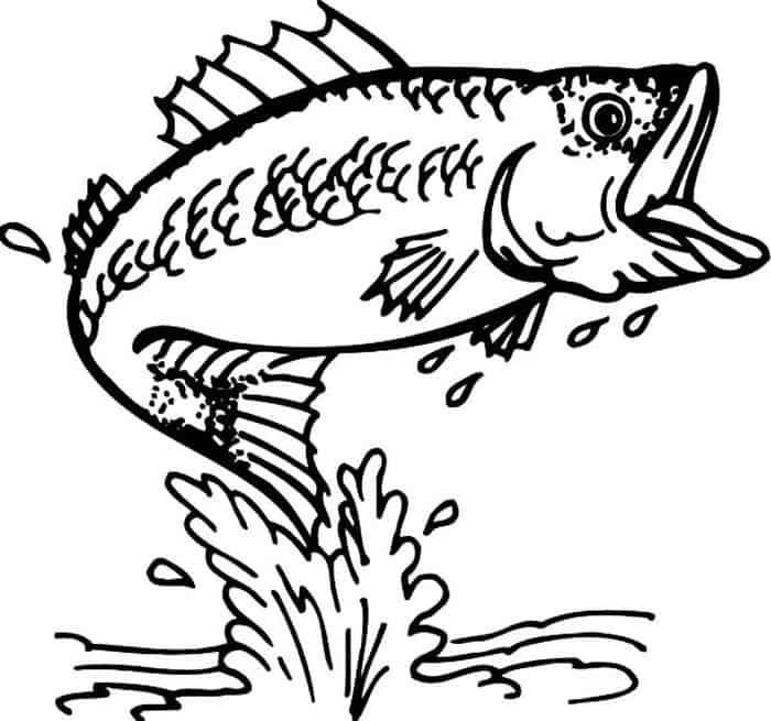 Adult Coloring Pages Fish