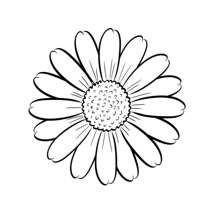 Adult Coloring Pages Sunflower
