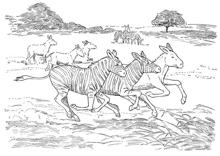 African Zebra Mask Printable Coloring Pages