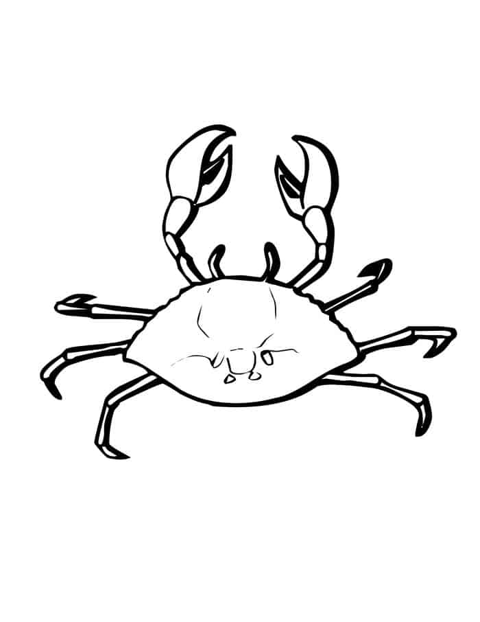 Algae Crab Coloring Pages