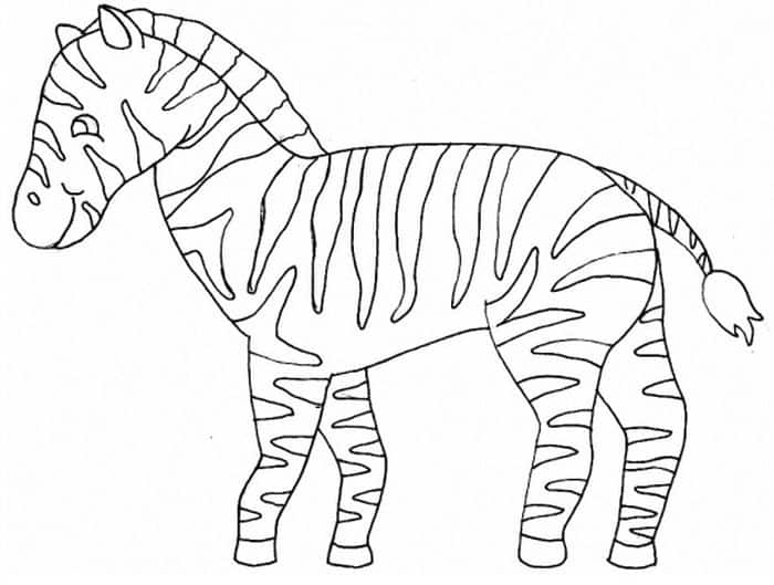 Animal Coloring Pages Zebra