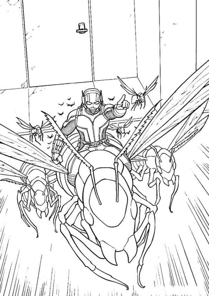 Ant Man Adult Coloring Pages
