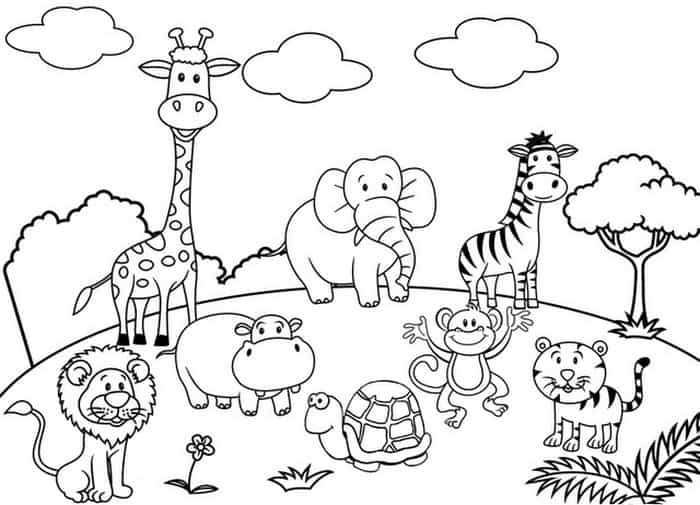 Baby Zoo Animal Coloring Pages