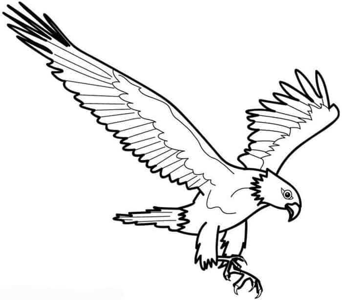 Bald Eagle Coloring Pages Printable
