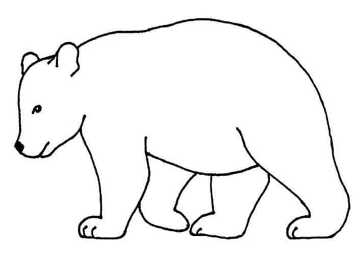 Bear Coloring Pages For Kids